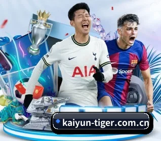 kaiyun APP 界面