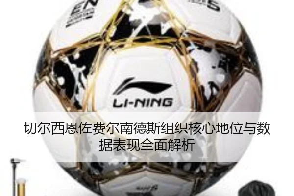 切尔西恩佐费尔南德斯组织核心地位与数据表现全面解析