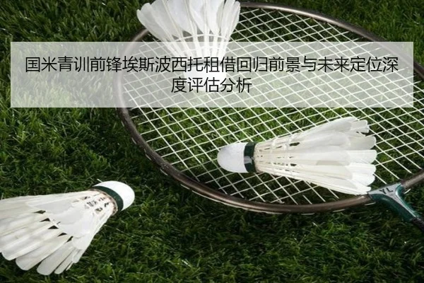 国米青训前锋埃斯波西托租借回归前景与未来定位深度评估分析